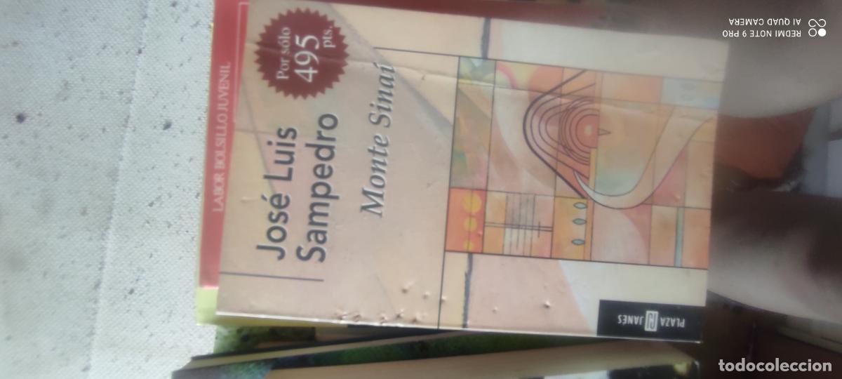 Libros de segunda mano: Monte Sina&iacute;. Sampedro