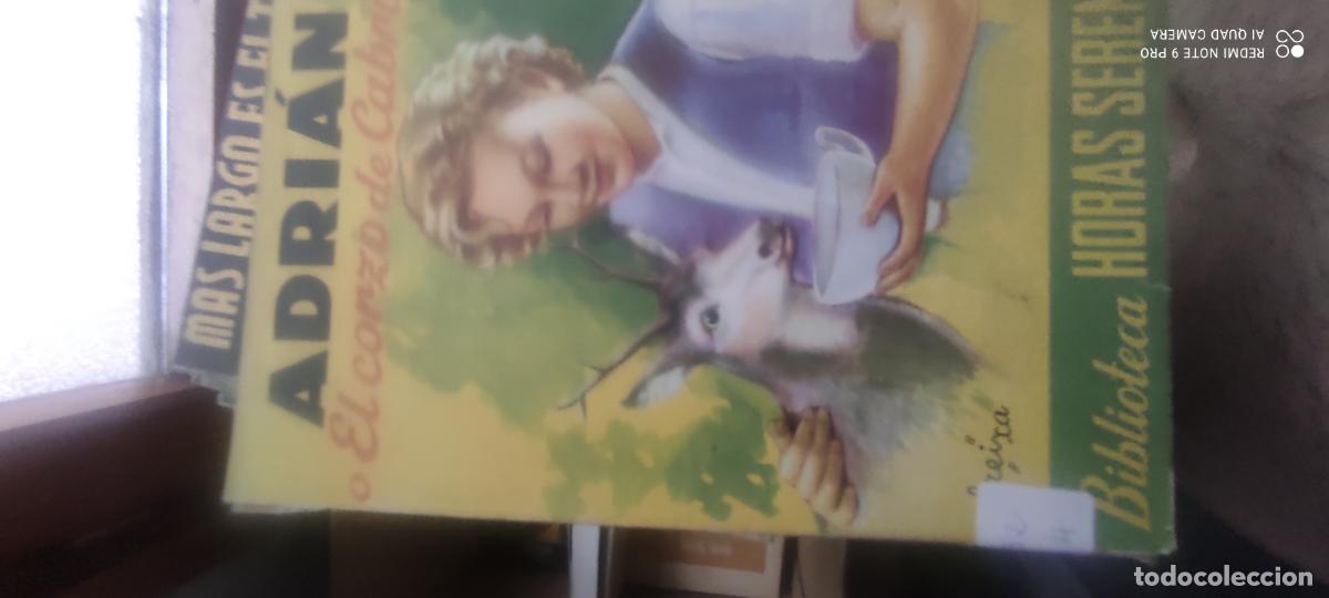 Libros de segunda mano: Biblioteca horas serenas. Adriana