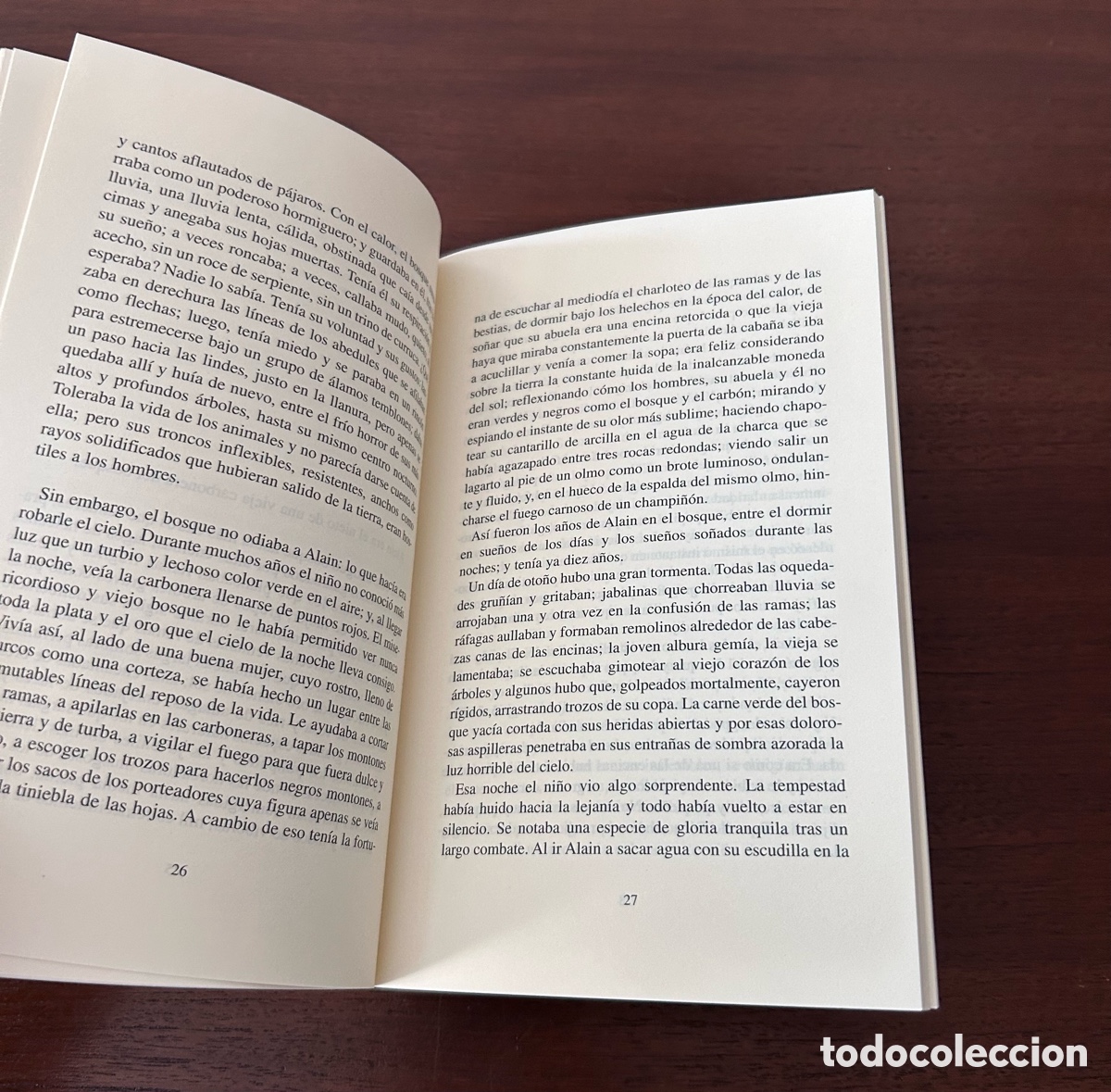 Libros de segunda mano: LA ESTRELLA DE MADERA. MARCEL SCHWOB. EDITORIAL SEQUITUR - Foto 3