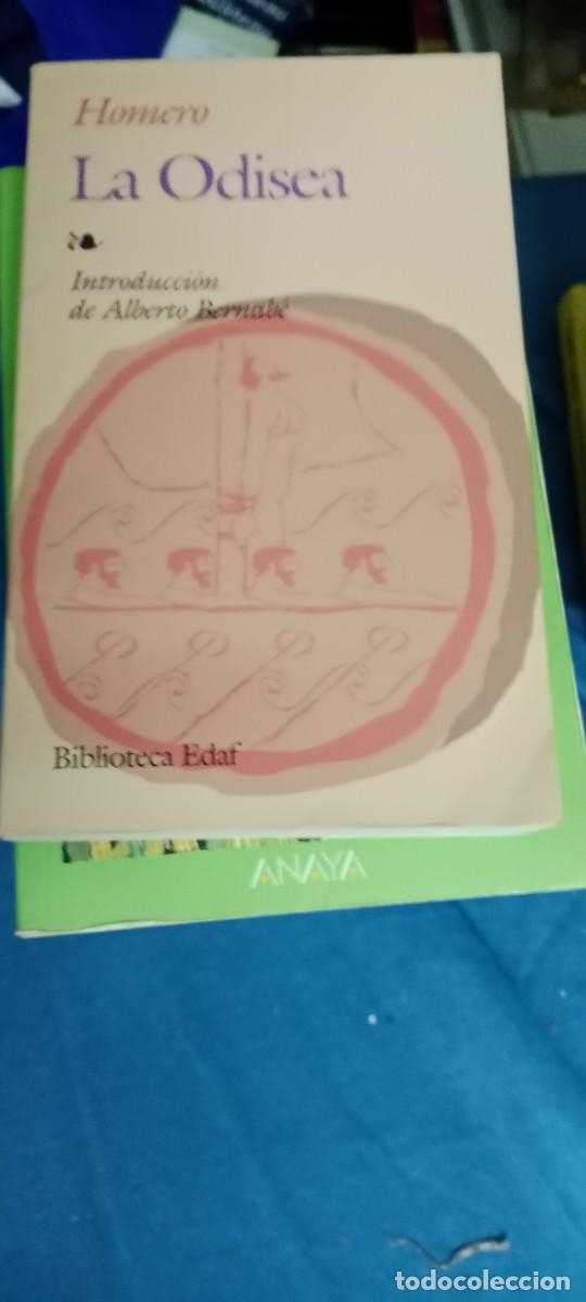 Libros de segunda mano: HOMERO - ODISEA. INTRODUCCI&Oacute;N DE ALBERTO BERNAB&Eacute; - EDAF - LIBRO CU-02