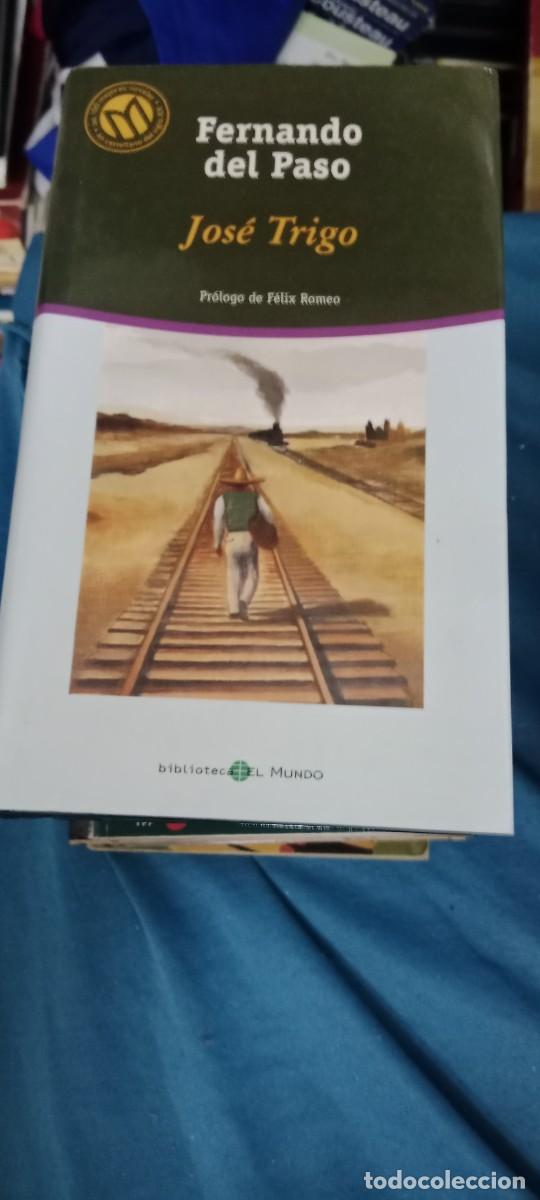 Libros de segunda mano: FERNANDO DEL PASO JOSE TRIGO LIBRO GG-RM