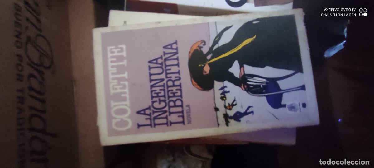Libros de segunda mano: La ingenua libertina. Colette