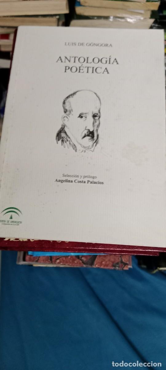 Libros de segunda mano: Antolog&iacute;a po&eacute;tica. Luis de G&oacute;ngora. Angelina Costa Palacios LIBRO GG-RM