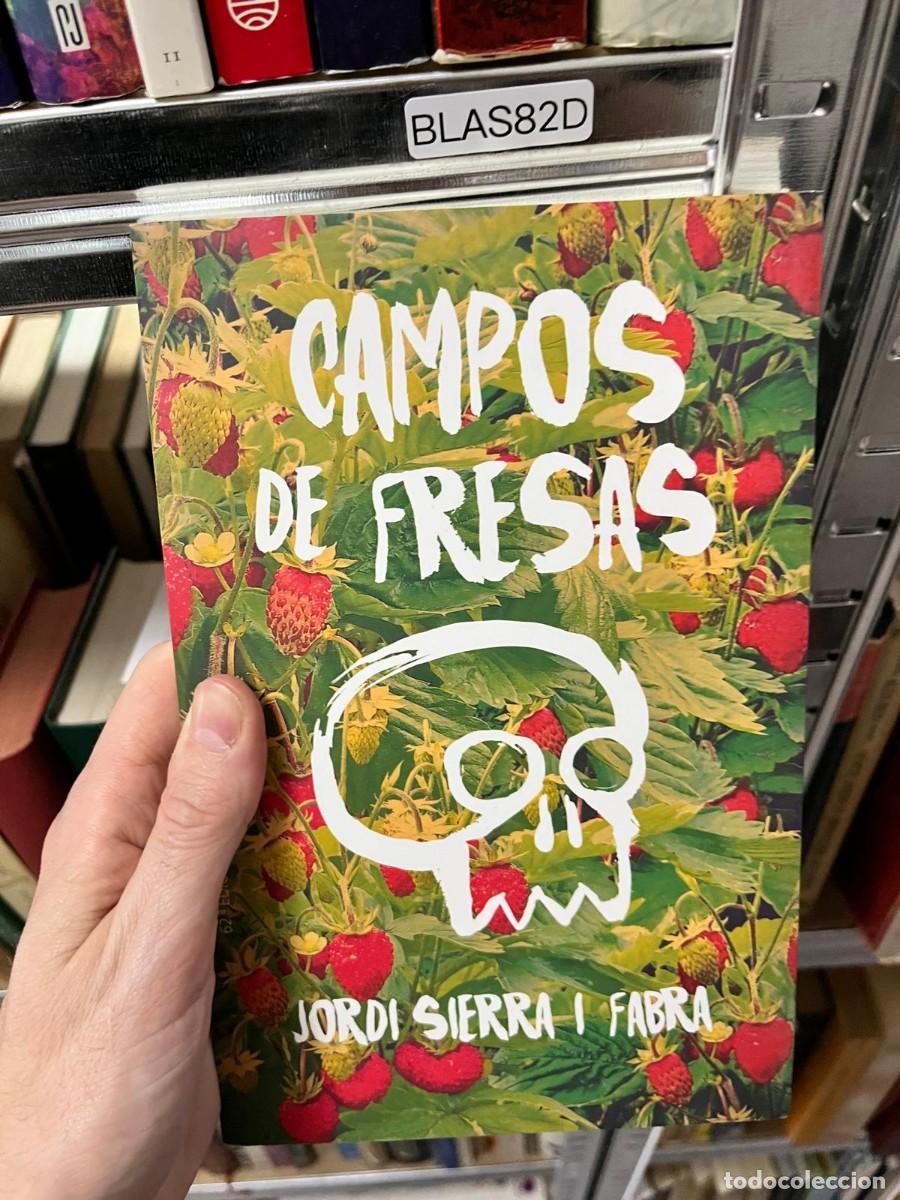 Libros de segunda mano: BLAS82D - Campos de fresas - Jordi Sierra i Fabra - SM