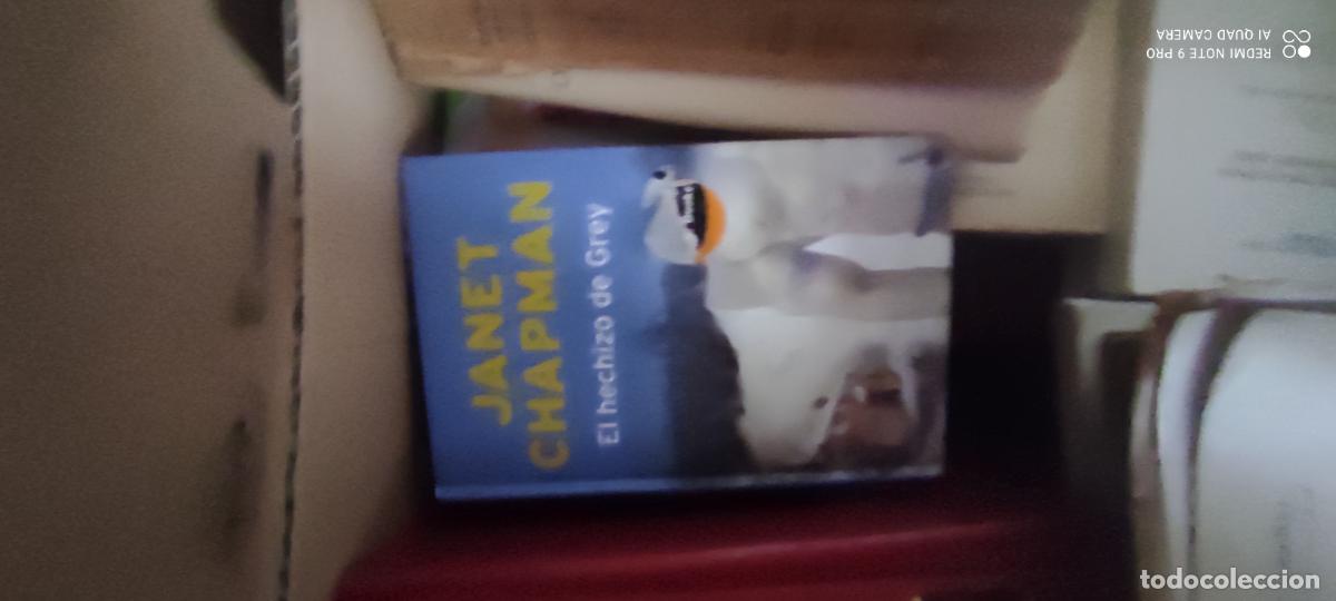 Libros de segunda mano: El hechizo de Grey: Chapman, Janet