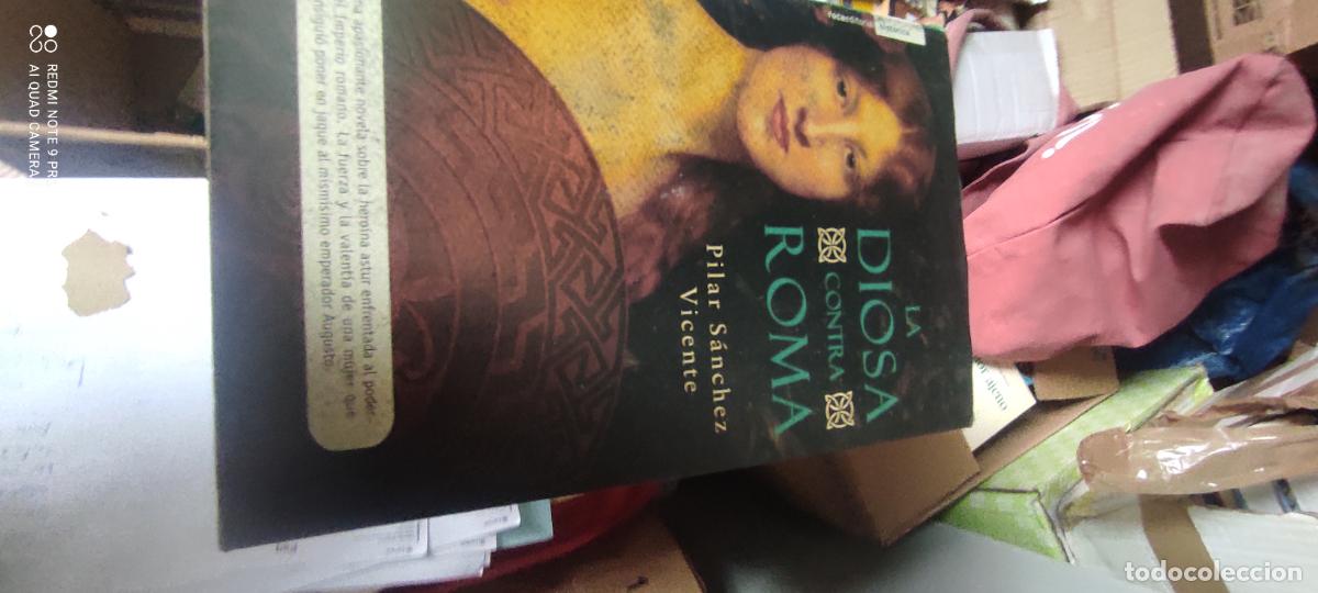 Libros de segunda mano: La diosa contra Roma - Pilar S&aacute;nchez Vicente