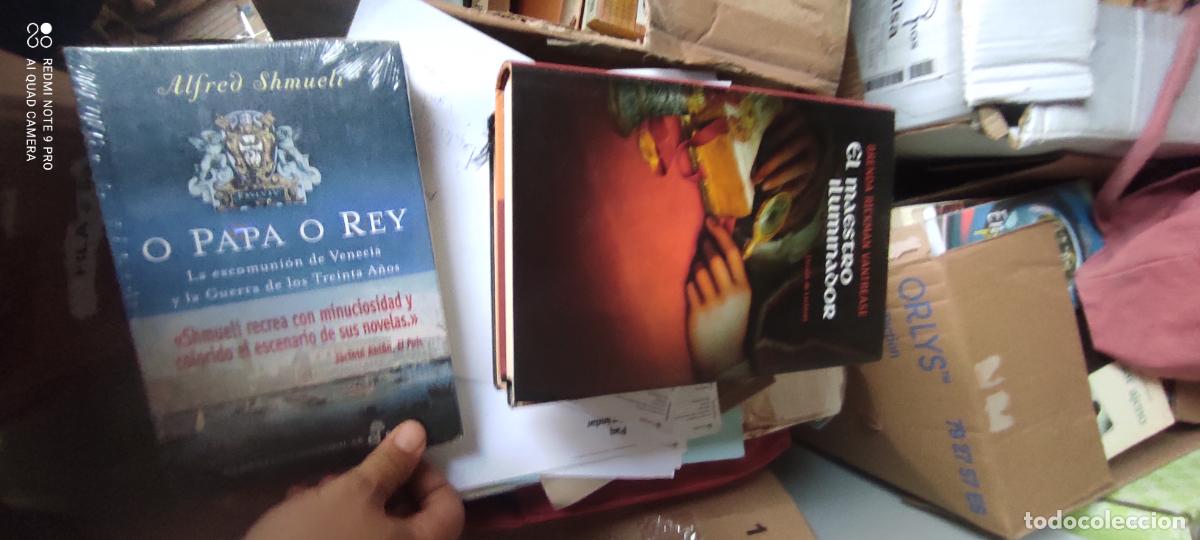 Libros de segunda mano: El maestro iluminador.- Vantrease, Brenda Rickman