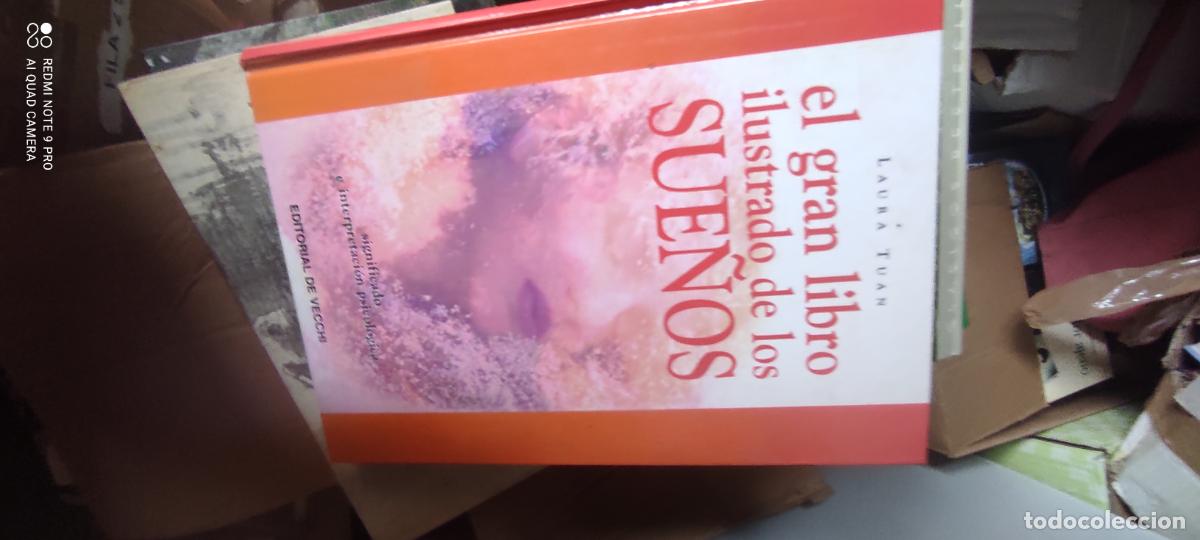 Libros de segunda mano: El Gran Libro Ilustrado de los Sue&ntilde;os -Laura Tuan- (Editorial De Vecchi)