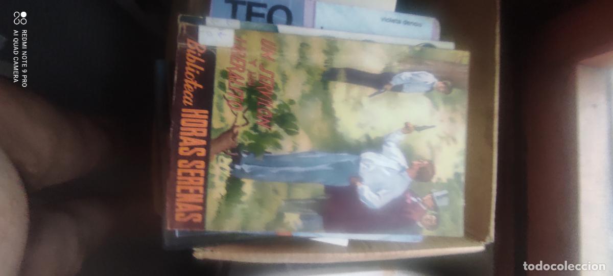 Libros de segunda mano: BIBLIOTECA HORAS SERENAS XLIII - UN SERVILON Y UN LIBERALITO - FERNAN CABALLERO - SALESIANA 1948