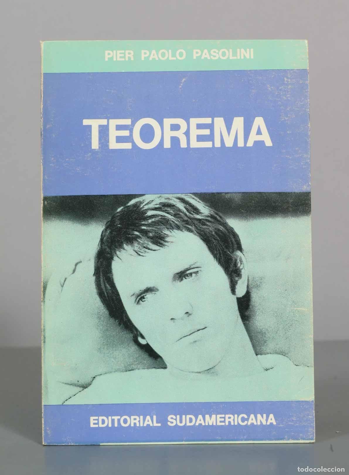 Libros de segunda mano: Teorema - Pier Paolo Pasolini - Editorial Sudamericana