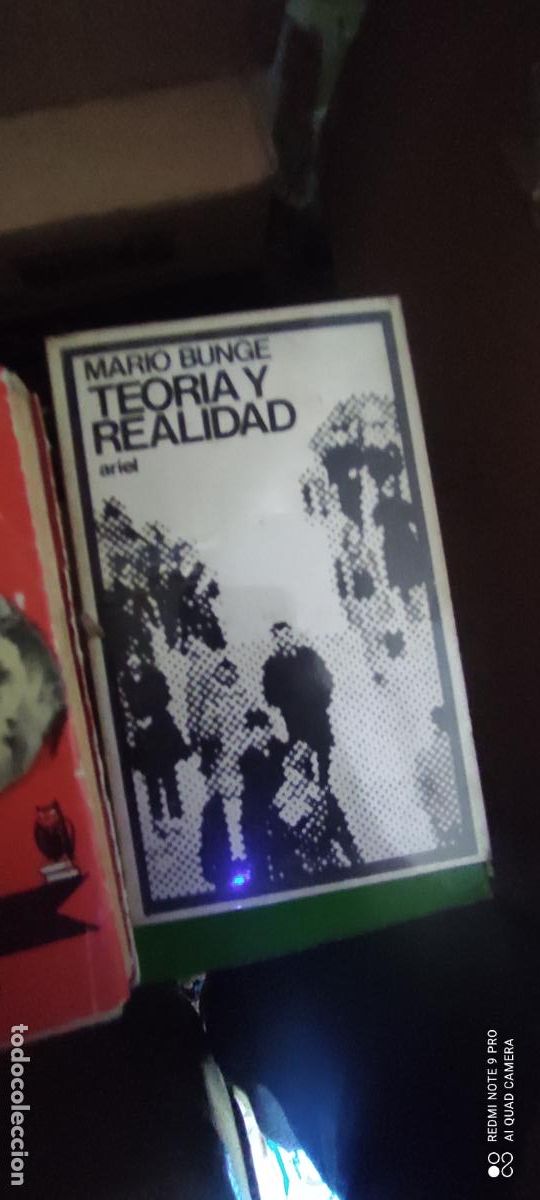 Libros de segunda mano: MARIO BUNGE - TEOR&Iacute;A Y REALIDAD - ARIEL, 1981