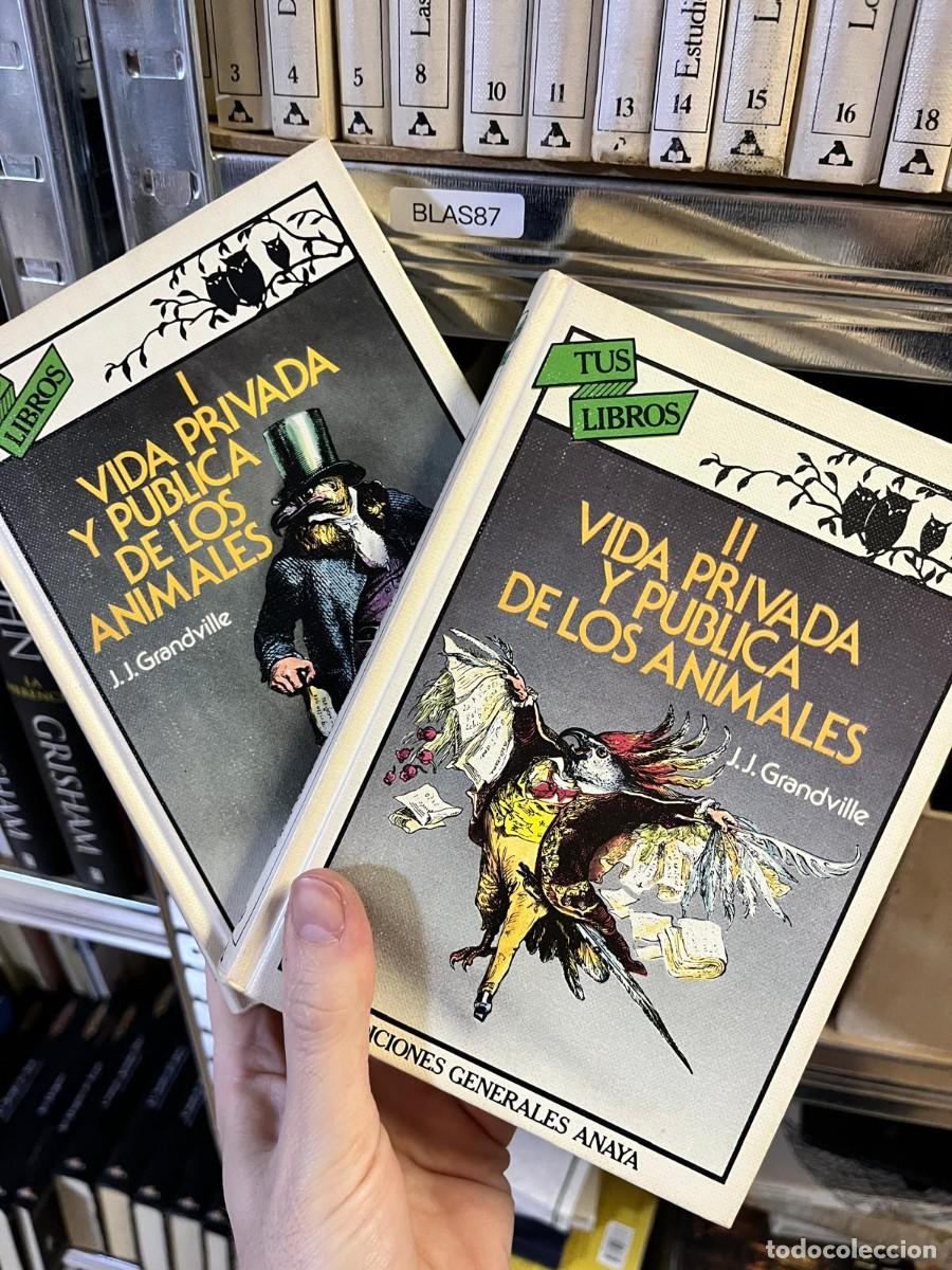 Libros de segunda mano: BLAS87 &ndash; Vida privada y p&uacute;blica de los animales &ndash; J. J. Grandville &ndash; Ediciones Generales Anaya 2vol