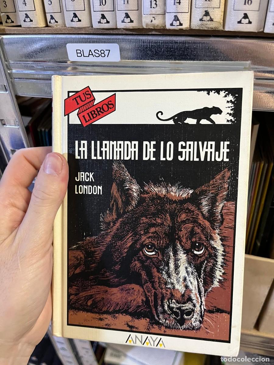 Libros de segunda mano: BLAS87 &ndash; La llamada de lo salvaje &ndash; Jack London &ndash; Ediciones Generales Anaya &ndash; Tus Libros.