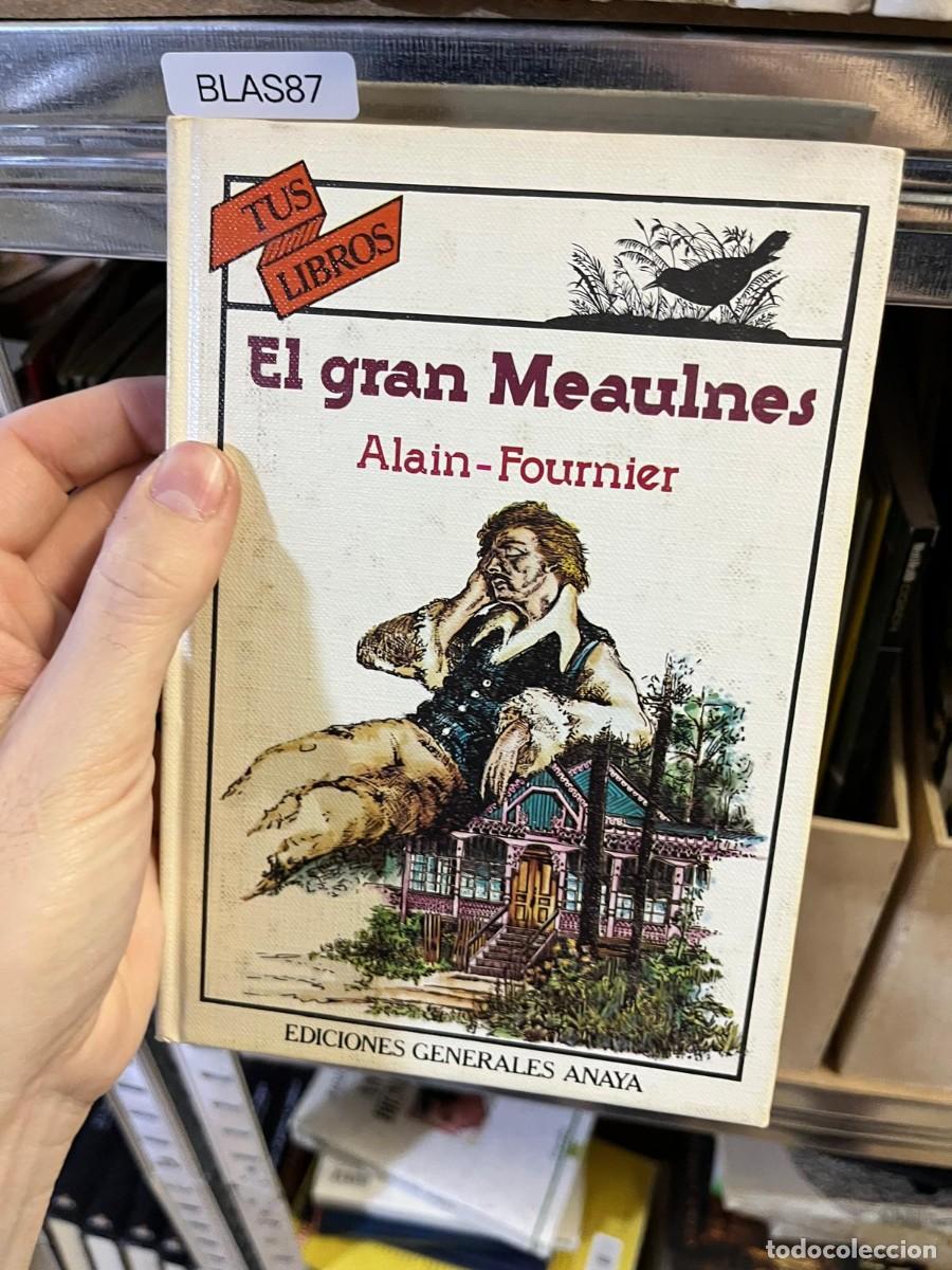 Libros de segunda mano: BLAS87 &ndash; El gran Meaulnes &ndash; Alain-Fournier &ndash; Ediciones Generales Anaya &ndash; Tus Libros.
