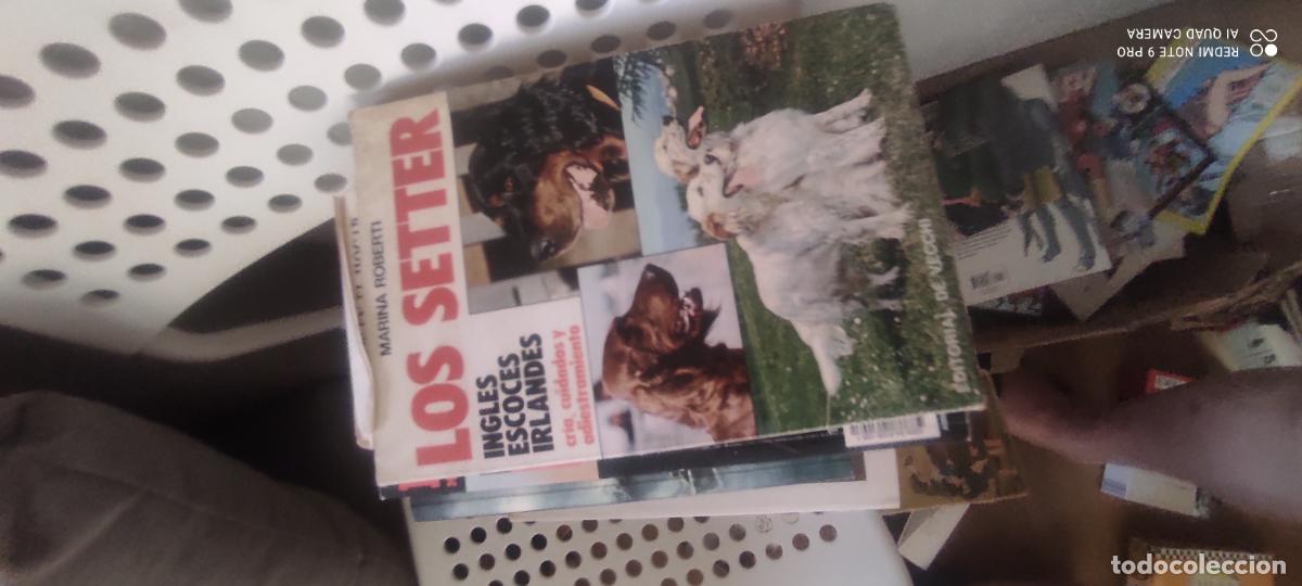 Libros de segunda mano: LOS SETTER, MARINA ROBERTI, DE VECCHI l