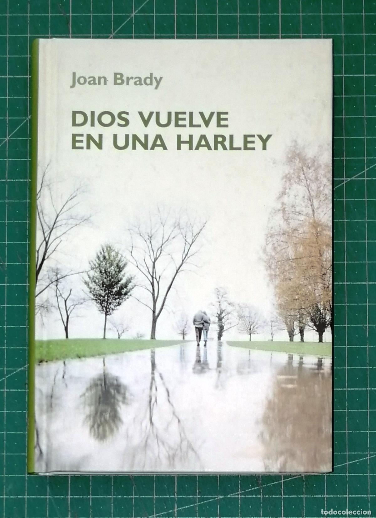 Libros de segunda mano: DIOS VUELVE EN UNA HARLEY / Joan Brady. - RBA Coleccionables, 2005