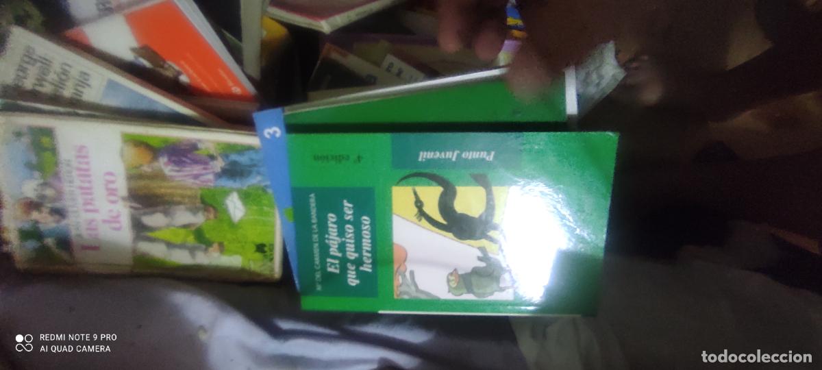 Libros de segunda mano: El p&aacute;jaro que quiso ser hermoso - Mar&iacute;a Carmen de la Bandera/