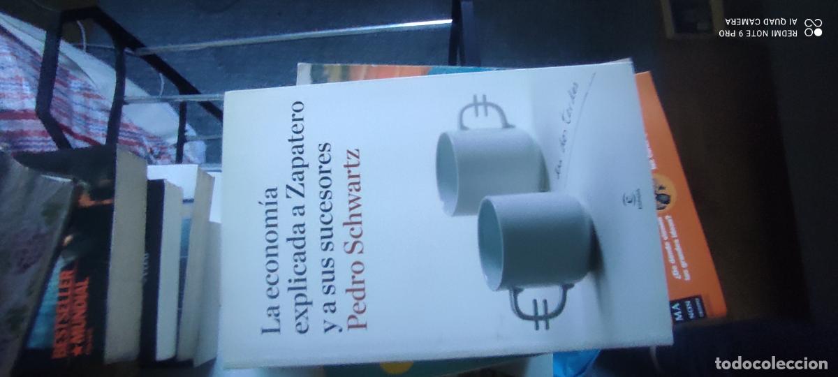 Libros de segunda mano: LA ECONOM&Iacute;A EXPLICADA A ZAPATERO Y A SUS SUCESORES PEDRO SCHWARTZ