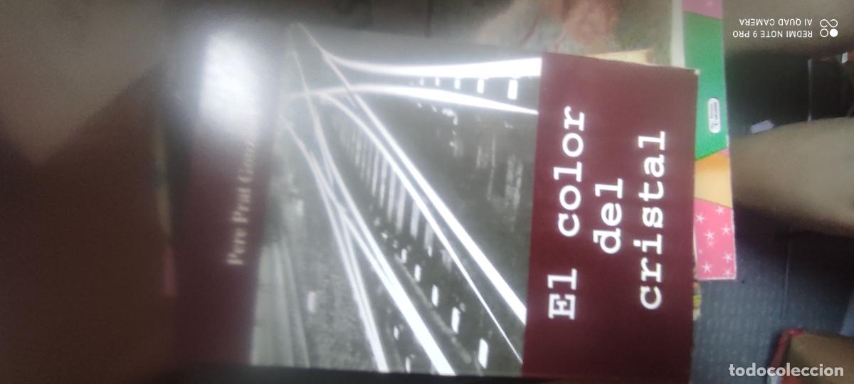 Libros de segunda mano: EL COLOR DEL CRISTAL - PERE GONZ&Aacute;LEZ - 1997 - PUBLICACIONES ANOIA l