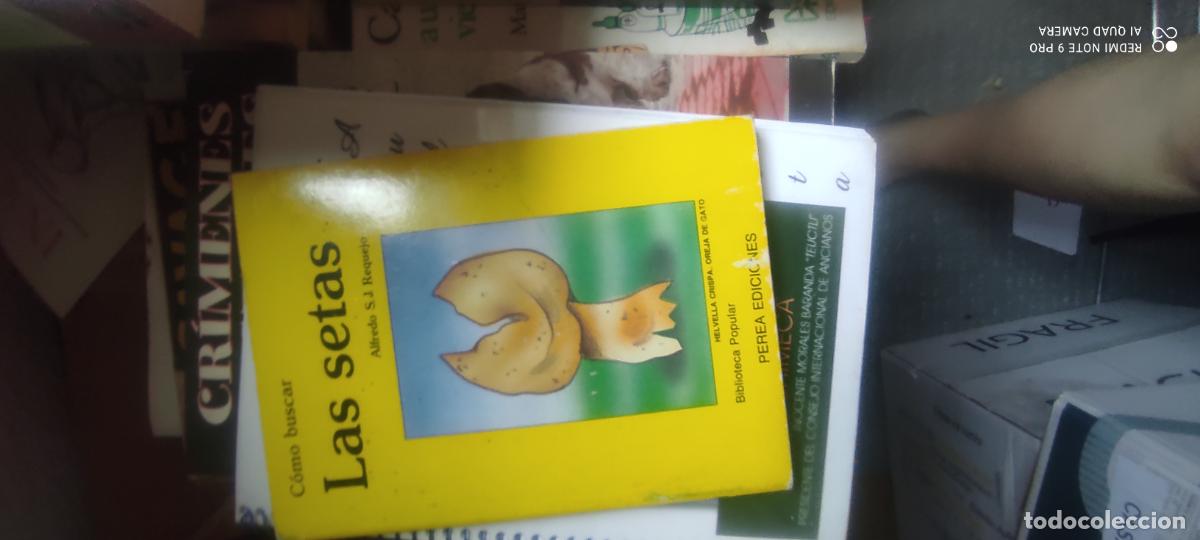 Libros de segunda mano: COMO BUSCAR LAS SETAS. ALFREDO S.J. REQUEJO