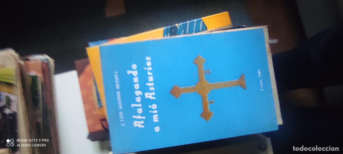 Libros de segunda mano: AFALAGANDO A MI&Oacute; ASTURIES. J. LUIS AGUIRRE HUERTA. UVIEU, 1981.