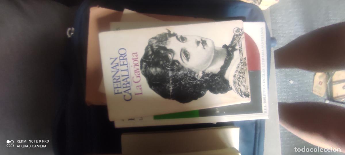 Libros de segunda mano: La gaviota de f. Caballero