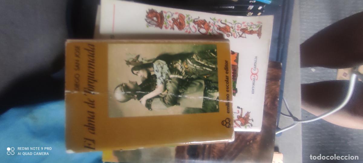 Libros de segunda mano: El alma de Torquemada.- San Jos&eacute;, Diego