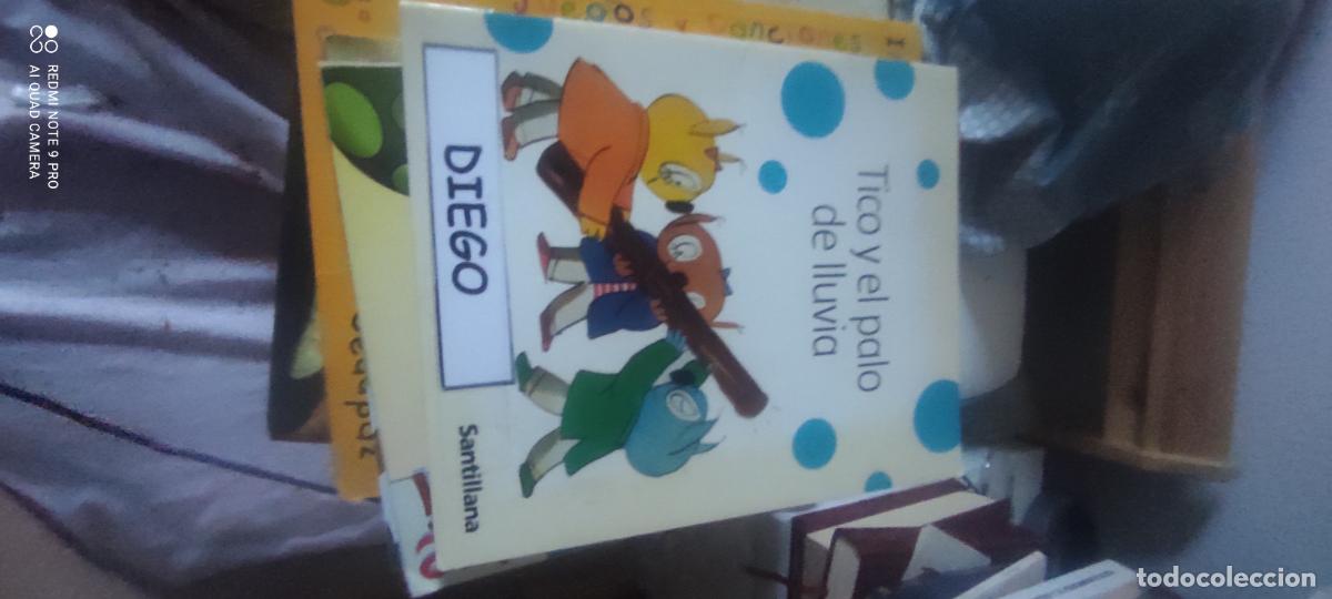 Libros de segunda mano: TICO Y EL PALO DE LLUVIA - Mariscal,Elisa