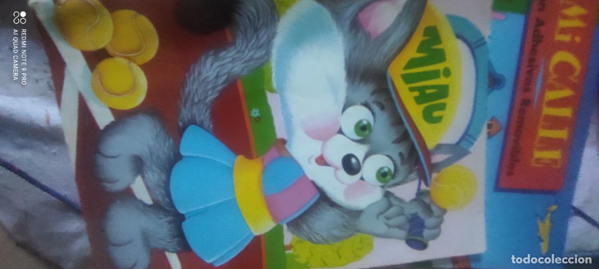 Libros de segunda mano: MINITROQUELADOS - EDICIONES TESTA / Miau