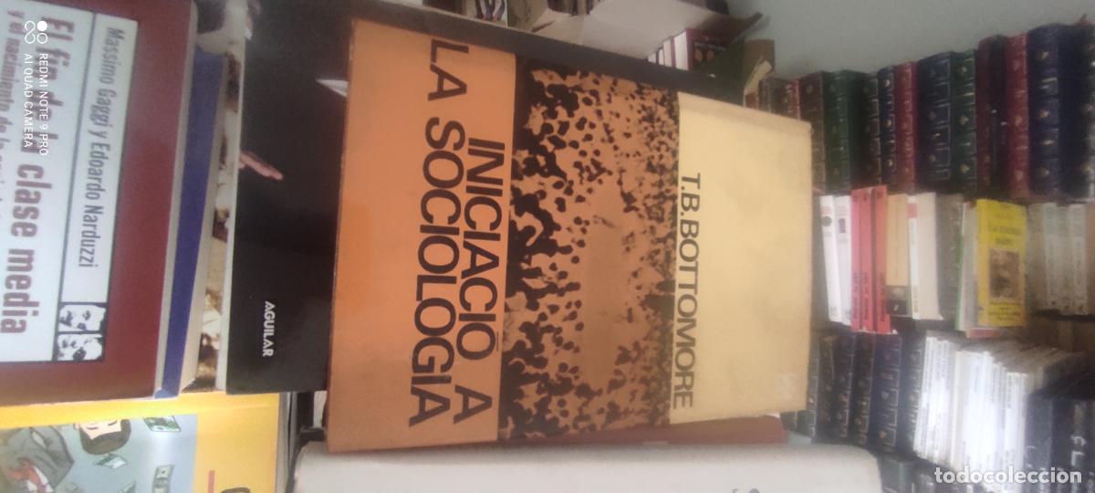 Libros de segunda mano: T.B. BOTTOMORE - INICIACI&Oacute; A LA SOCIOLOGIA - EDICIONS 62, 1966