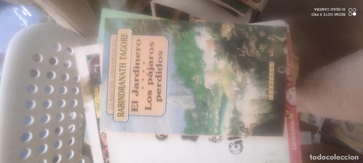 Libros de segunda mano: Tagore. El jardinero/ Los p&aacute;jaros perdidos