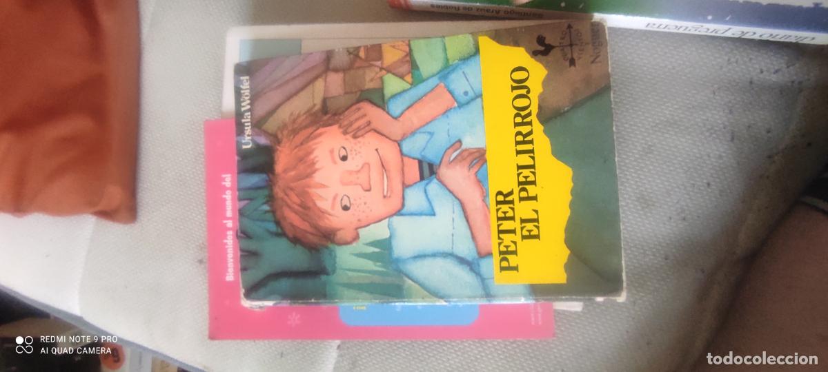 Libros de segunda mano: Peter el pelirrojo, a