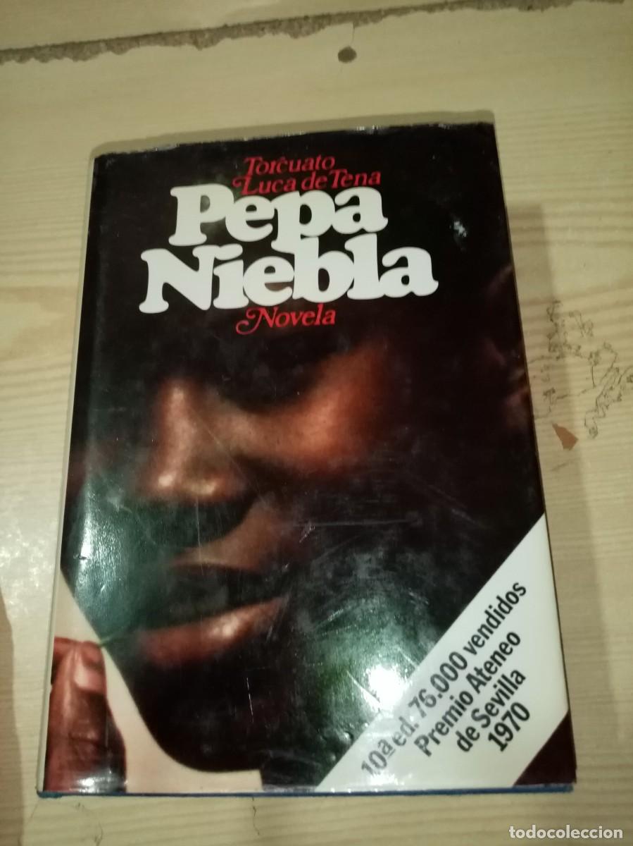 Libros de segunda mano: PEPE NIEBLA. TORCUATO LUCA DE TENA. EST14B5