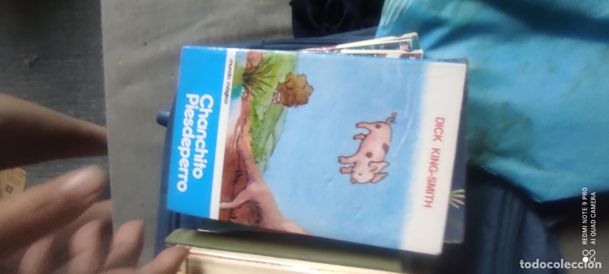 Libros de segunda mano: CHANCHITO PIESDEPERRO, Dick King-Smith