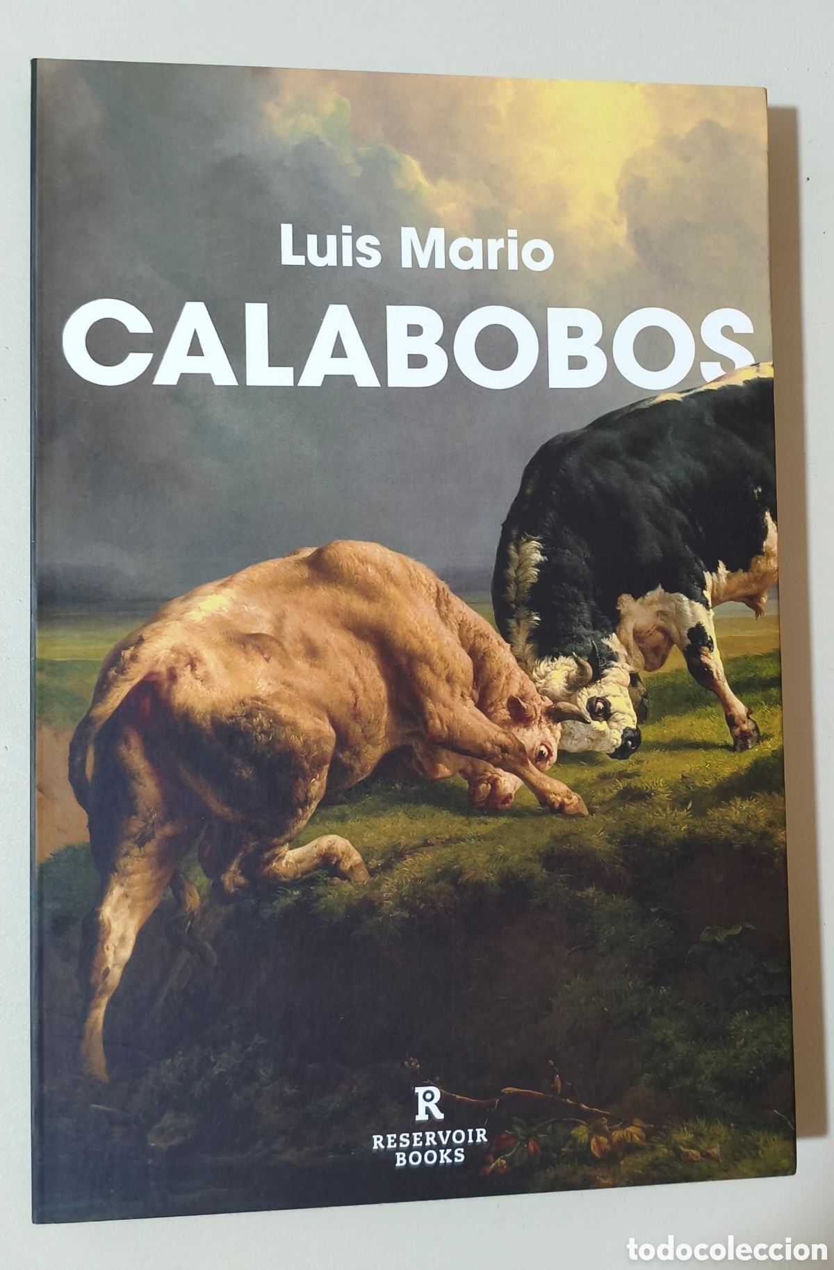 Libros de segunda mano: Calabobos, Luis Mario. Ed. Reservoir Books 9788410352094