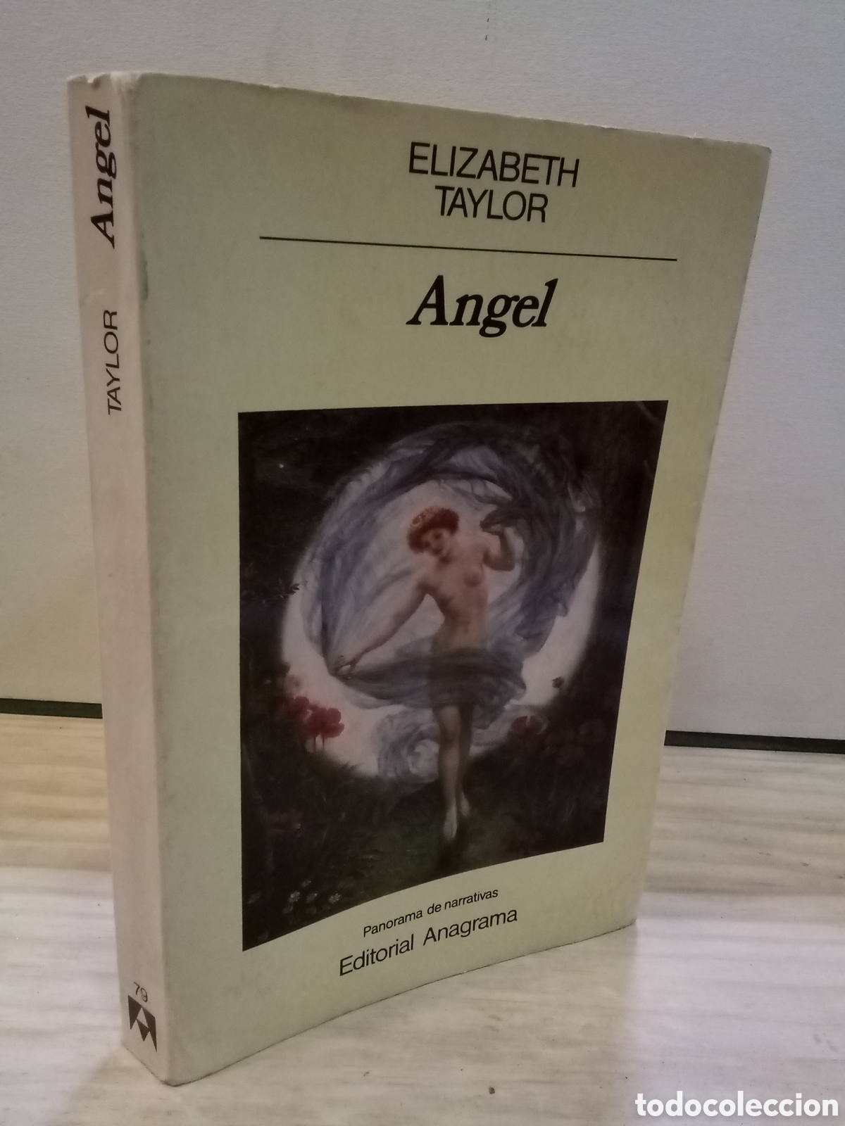 Gebrauchte B&uuml;cher: Elizabeth Taylor : Angel
