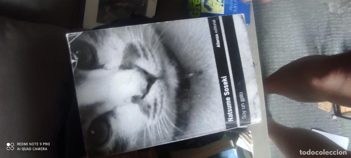 Libros de segunda mano: NATSUME SOSEKI - SOY UN GATO Alianza Editorial