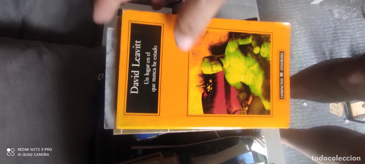 Libros de segunda mano: UN LUGAR EN EL QUE NUNCA HE ESTADO (DAVID LEAVITT)