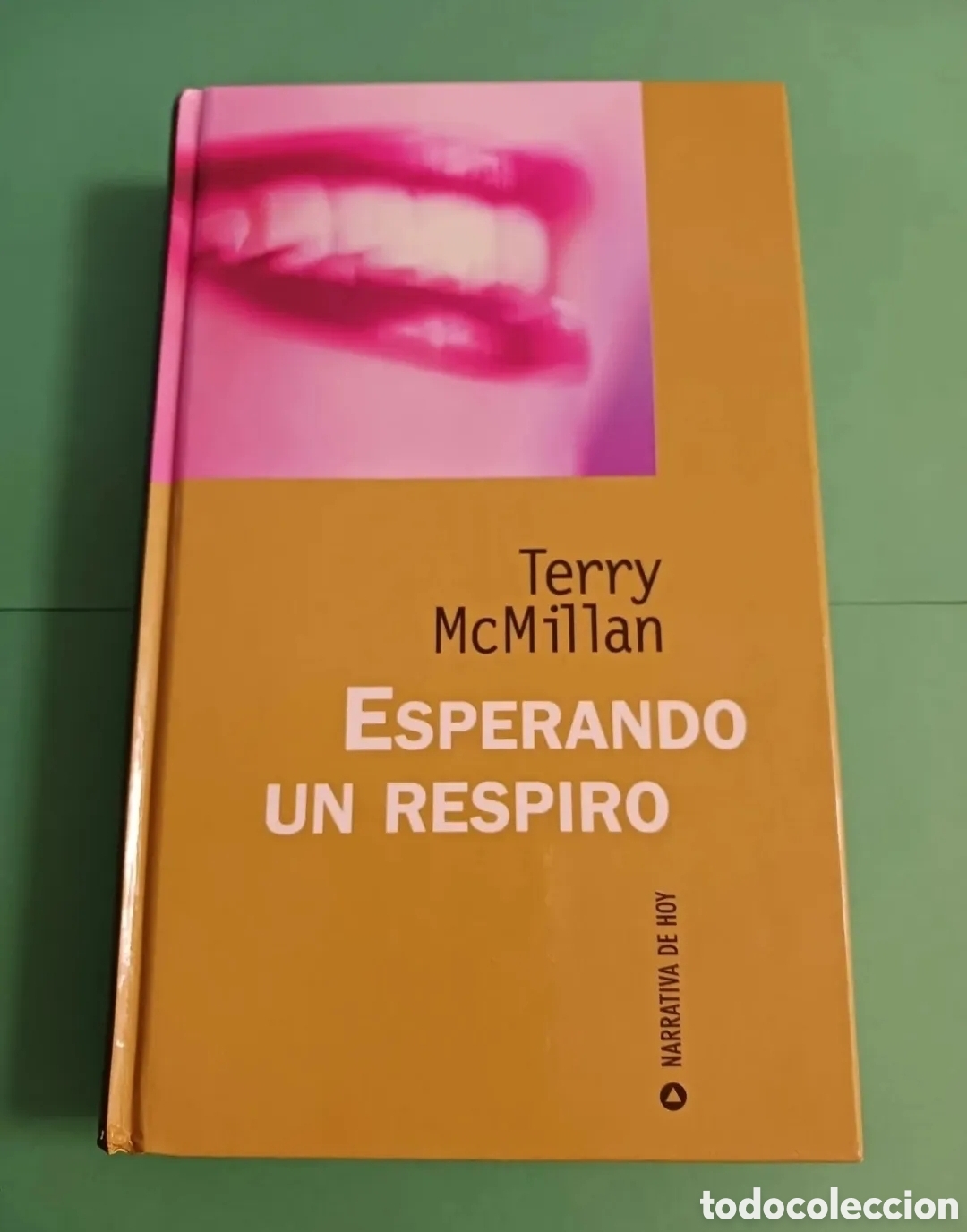 Livros em segunda m&atilde;o: Libro Terry McMillan / ESPERANDO UN RESPIRO.