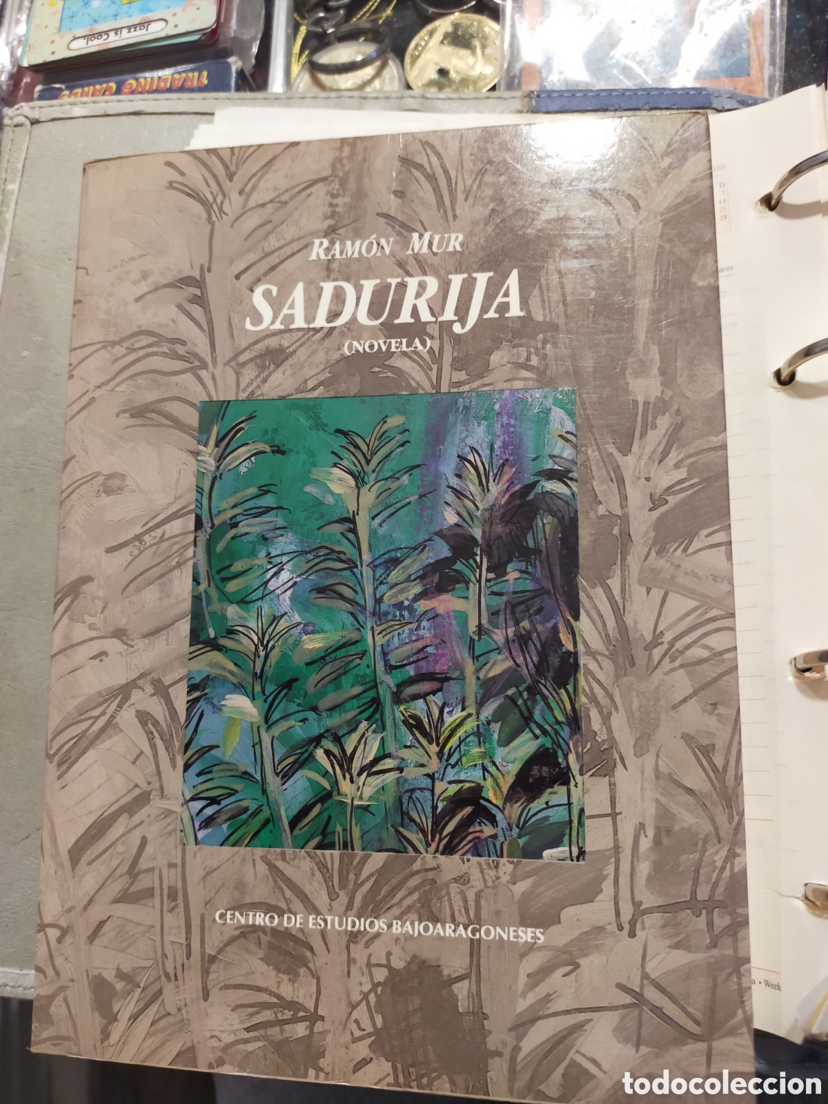 Libros de segunda mano: SADURIJA RAMON MUR BUEN ESTADO