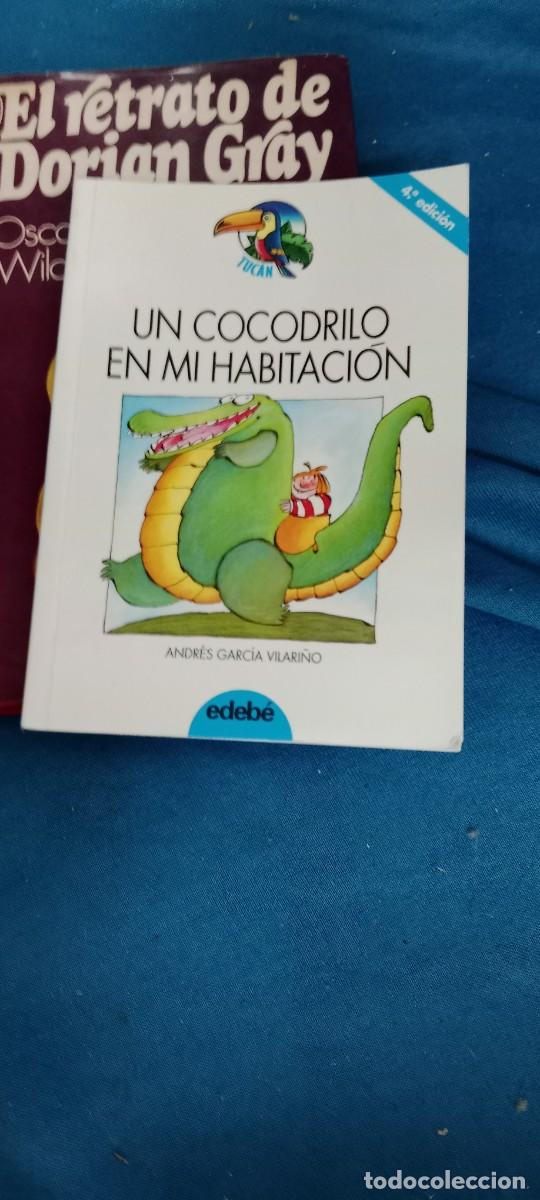 Libros de segunda mano: Un cocodrilo en mi habitacion - Garcia Vilarino, Andres LIBRO GG-DNI
