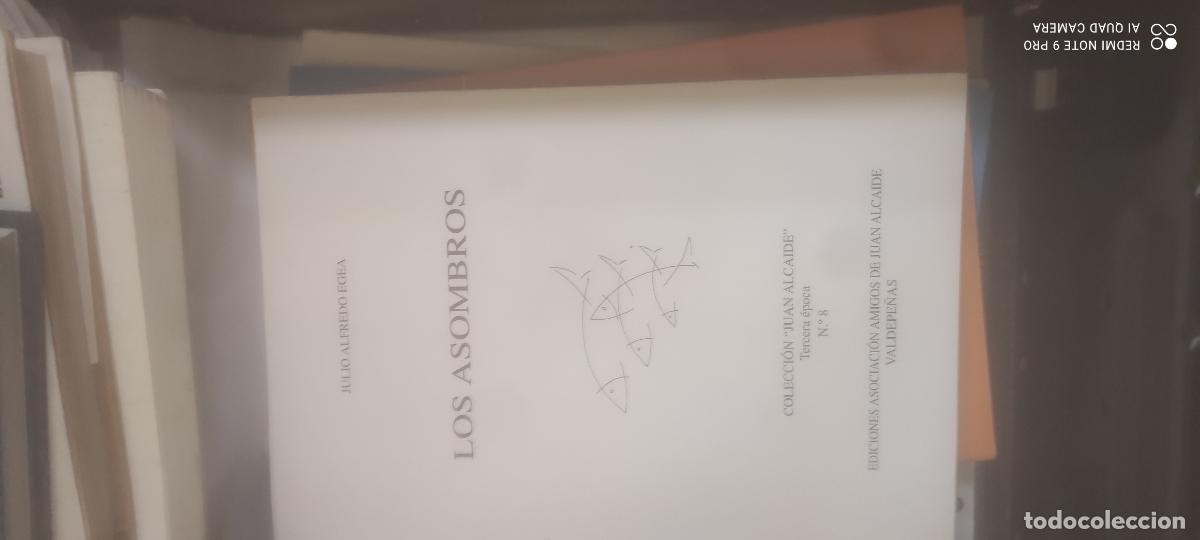 Libros de segunda mano: Los asombros - Egea, Julio Alfredo