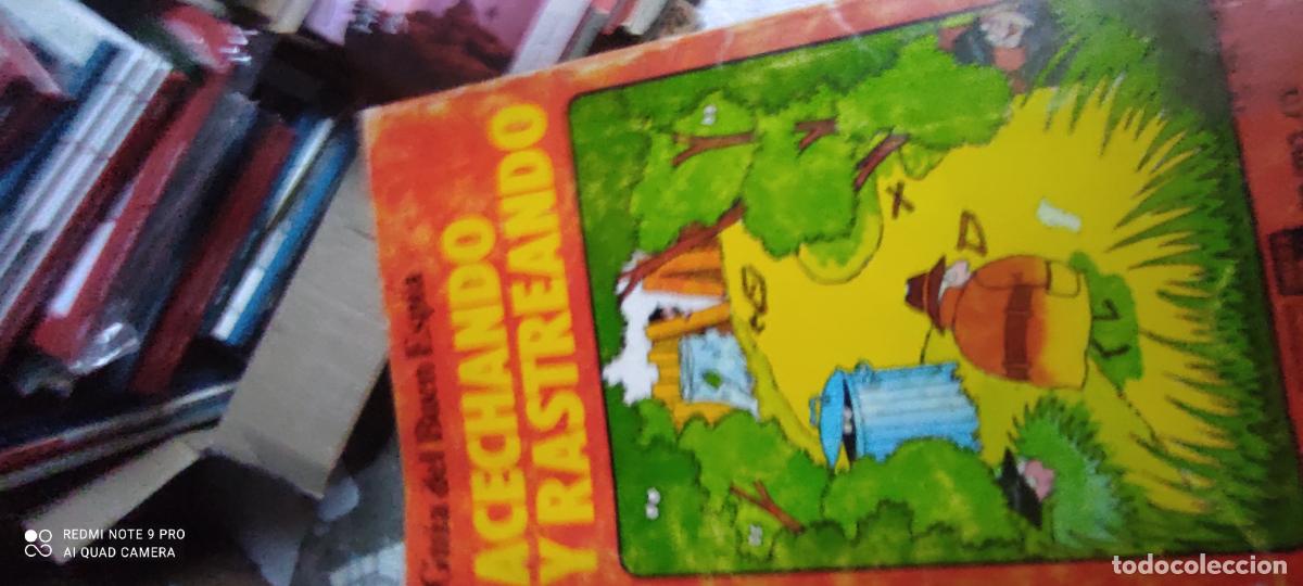 Libros de segunda mano: Acechando y rastreando - Thomson, Ruth. Judy Hindley