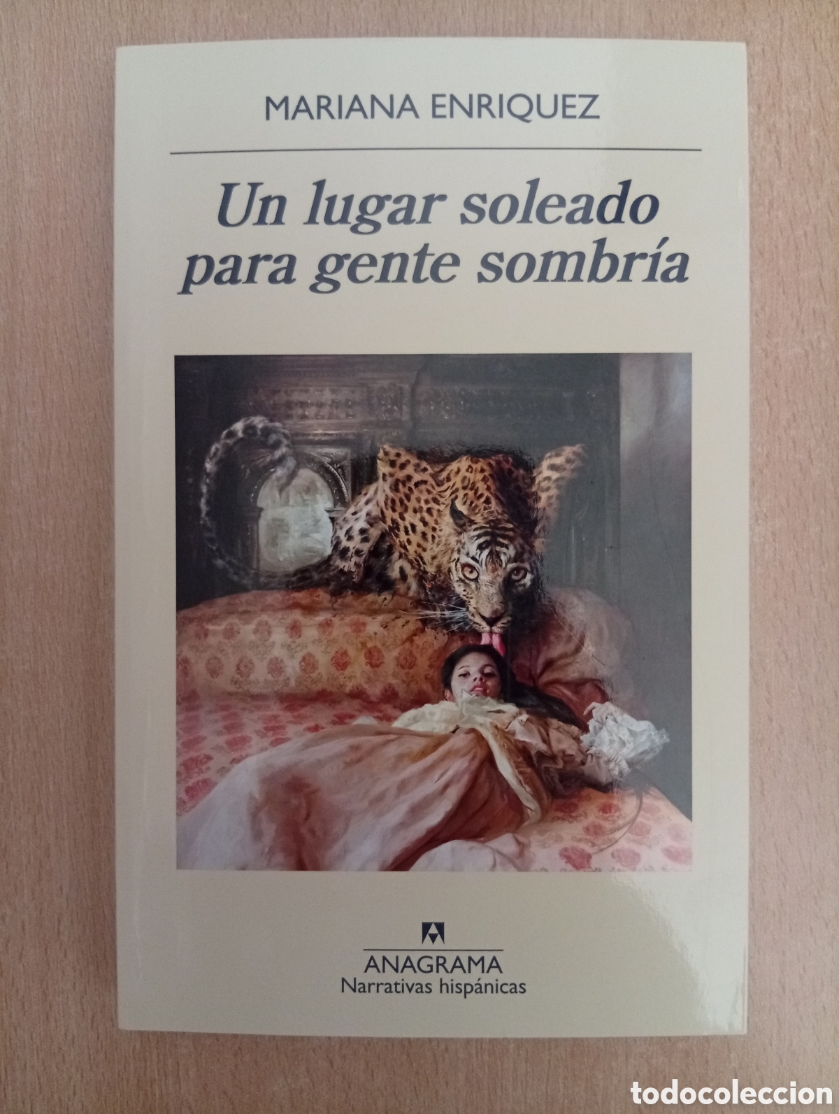 Libros de segunda mano: UN LUGAR SOLEADO PARA GENTE SOMBR&Iacute;A. Mariana Enr&iacute;quez. Anagrama