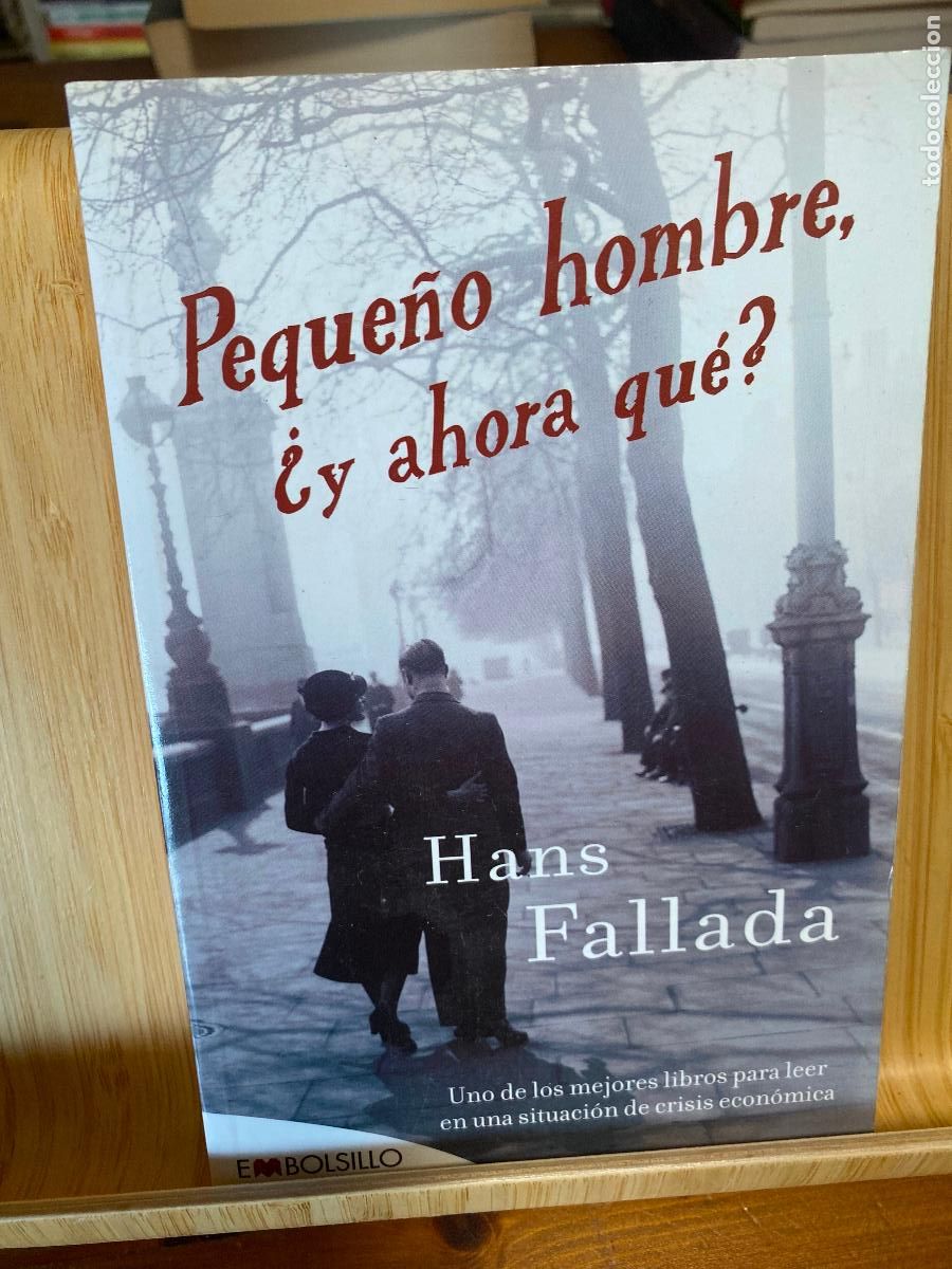 Libros de segunda mano: PEQUE&Ntilde;O HOMBRE, &iquest;Y AHORA QU&Eacute;? HANS FALLADA. EDITORIAL MAEVA