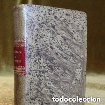 Libros de segunda mano: Nuestra se&ntilde;ora de Lourdes por Enrique Lasserre, traducci&oacute;n de D. Francisco Melgar. Tomo I.