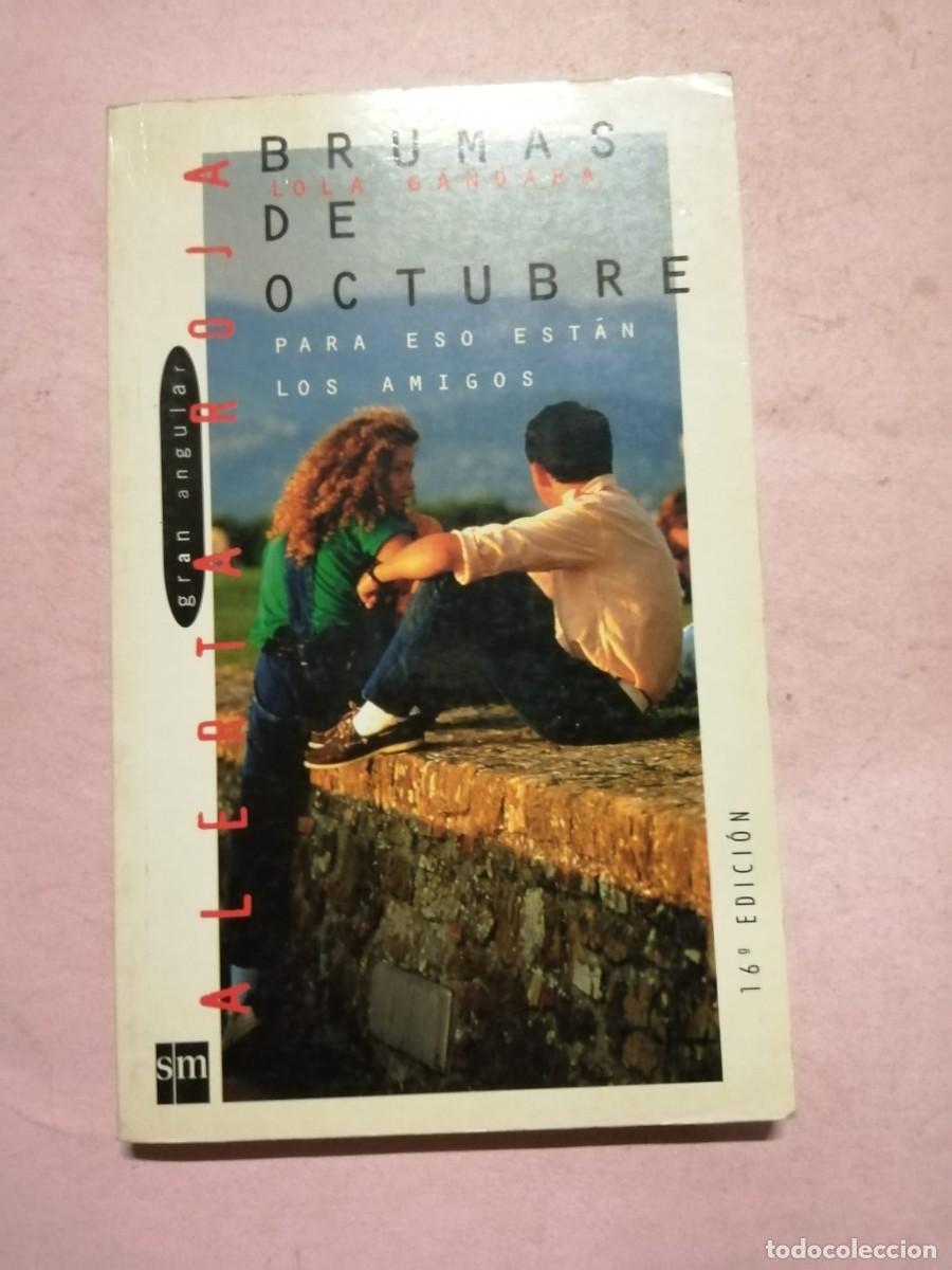 Libros de segunda mano: BRUMAS DE OCTUBRE (LOLA GONZALEZ)