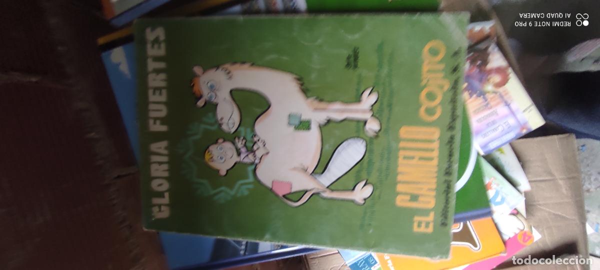 Libros de segunda mano: EL CAMELLO COJITO. GLORIA FUERTES. R&Uacute;STICA