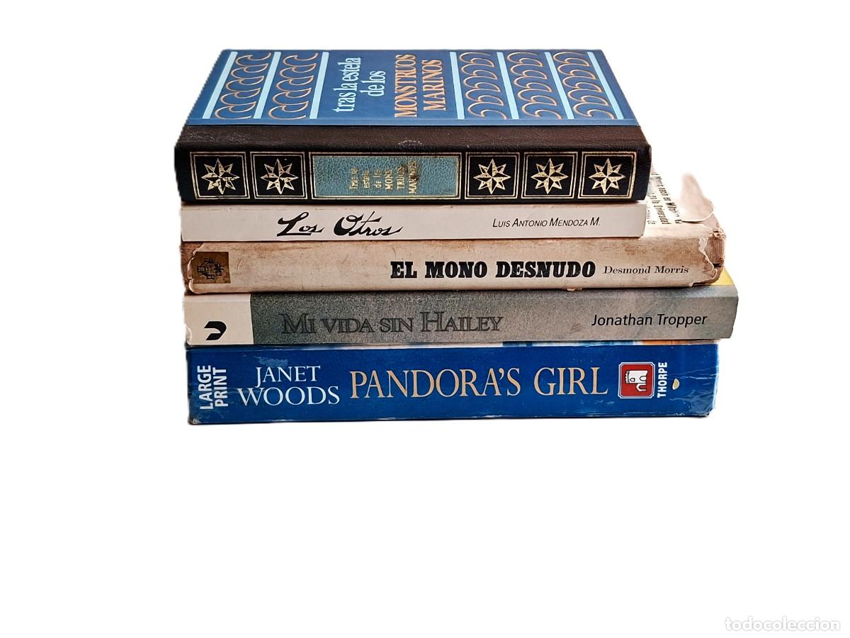 Libros de segunda mano: LOTE 5 -LIBROS VARIOS - Foto 2