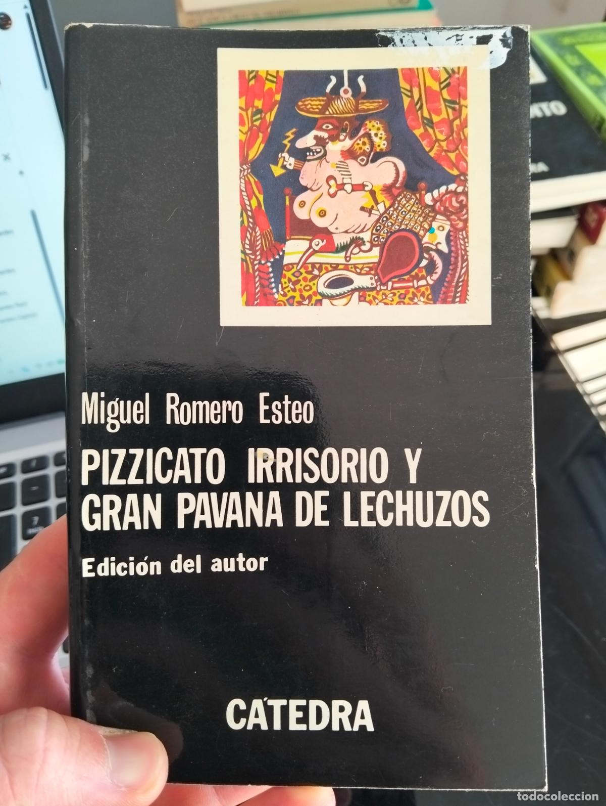 Libros de segunda mano: Raro. Literatura. Pizzicato Irrisorio y Gran Pavana de Lechuzos, Miguel Romero, Catedra, 1978. L55